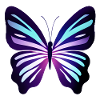 Butterfly Butterfly Animal Insect