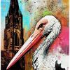 Cigogne Cathédrale Strasbourg