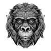 Gorilla Portrait