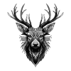 Deer Portrait