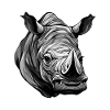 Rhinoceros Portrait