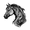 Pferd Portrait
