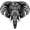 Elefant Portrait