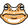 Forest Friends Frog