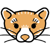 Forest friends marten