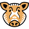 Waldfreunde Wildschwein