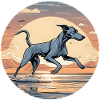 Lurcher by the Sea