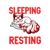 I don't sleep - Kitsune