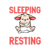 I don't sleep - bunny