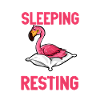 I don't sleep - Flamingo