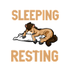 I don't sleep - Horse