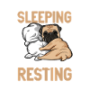 I don't sleep - pug