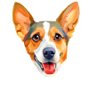 chien