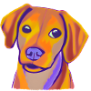 Chiots mignons