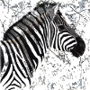 Zebra head (2)