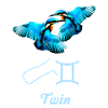 Zodiac sign Gemini, Kingfisher, Constellation