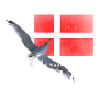 Danemark Danmark Seagull