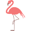Flamingo Ago go T Shirt