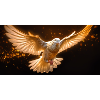 Golden Dove