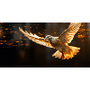 Golden Dove