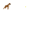 Hund Boxer Hundebesitzer Geschenkidee