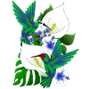 Hummingbird to Callas