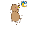 Volleyball Kiwi Bird and Fruit