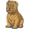 Shar-Pei