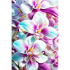 Floral 136