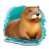 Beaver cute