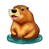 Beaver