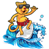 Cool cat surfer