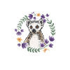 Lemur Catta Ring-tailed lemur