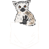 Lemur Catta Ring-tailed lemur