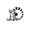 Lemur Catta Ring-tailed lemur