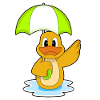 Parapluie de canard