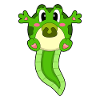 Frog Baby Pacifier