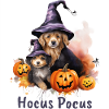 Halloween Pumpkin Horror