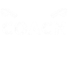Mannschaft Trainer Und Coach