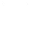 Sportmannschaft Trainer
