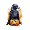 Halloween Pumpkin Raven