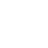 Parson Russell Terrier « Black Edition »