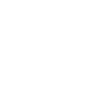 Magyar Vizsla « Édition Noire »