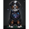 Bernese Mountain Dog