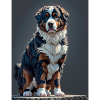 Bernese Mountain Dog