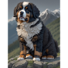 Bernese Mountain Dog