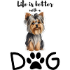 Lebensfreude mit einem Yorkie