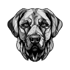 Kangal Dog Portrait