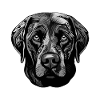 Labrador Dog Portrait