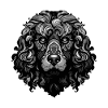 Poodle Dog Portrait